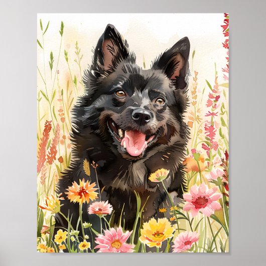 Schipperke Hond Waterverf Portret Muur Poster (Voorkant)