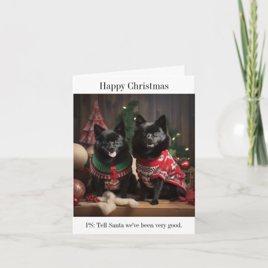 Schipperke Honden Kerstkaart Kaart (Voorkant)