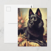  Schipperke Hondenschilderij Briefkaart (Voorkant / Achterkant)