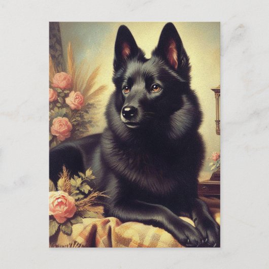  Schipperke Hondenschilderij Briefkaart (Voorkant)