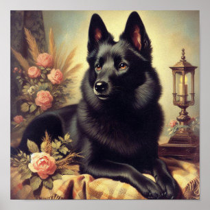  Schipperke Hondenschilderij Poster
