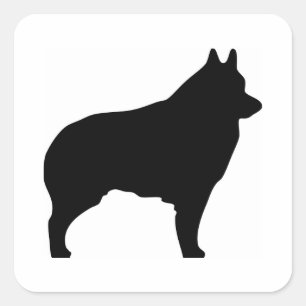 Schipperke hondensilhouet vierkante sticker