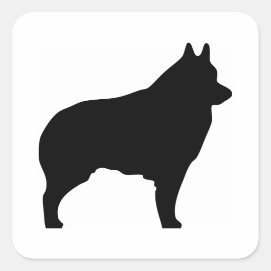 Schipperke hondensilhouet vierkante sticker (Voorkant)
