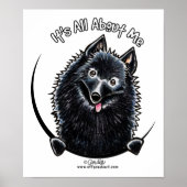Schipperke IAAM Poster (Voorkant)