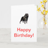 Schipperke Kaart (Gele Bloem)