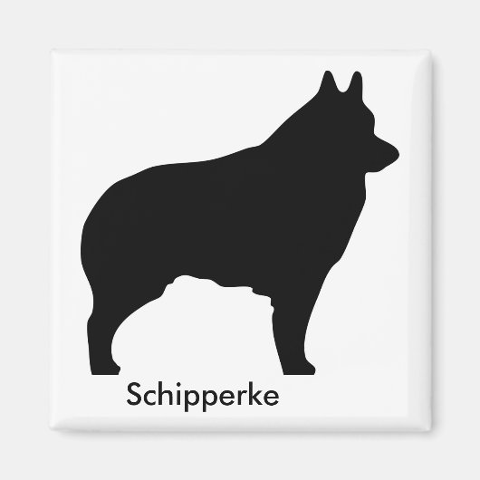 Schipperke Magnet (Voorkant)