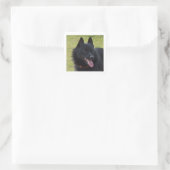 Schipperke.nl Vierkante Sticker (Tas)