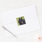 Schipperke.nl Vierkante Sticker (Envelop)