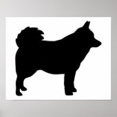 Schipperke Poster (Voorkant)