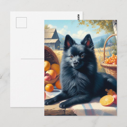  Schipperke Puppy Schilderij Briefkaart (Voorkant / Achterkant)