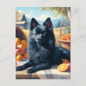  Schipperke Puppy Schilderij Briefkaart (Voorkant)