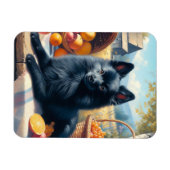 Schipperke Puppy Schilderij Magneet (Horizontaal)