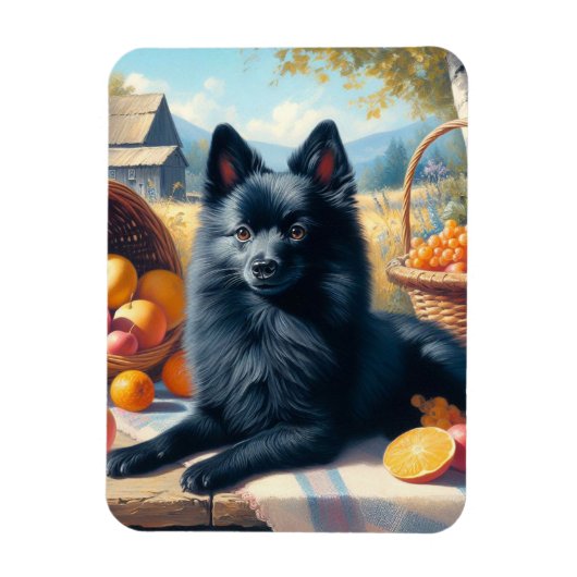 Schipperke Puppy Schilderij Magneet (Verticaal)