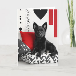 Schipperke Puppy Valentijn Kaart