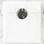 Schipperke Ronde Sticker (Tas)