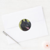 Schipperke Ronde Sticker (Envelop)