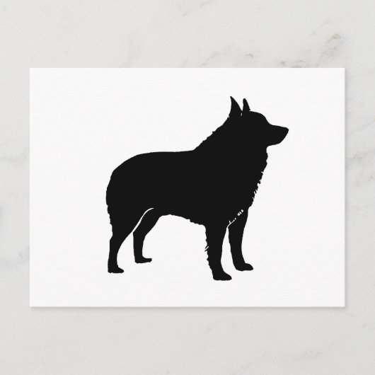 Schipperke silhouette.png briefkaart (Voorkant)