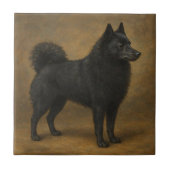 Schipperke Tegeltje (Voorkant)