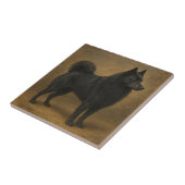 Schipperke Tegeltje (Zijkant)