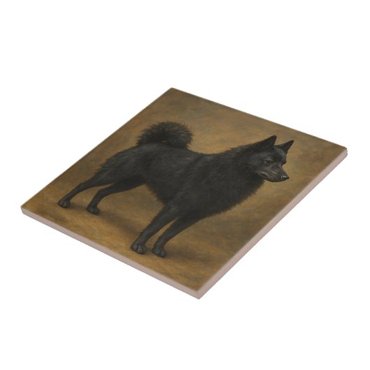 Schipperke Tegeltje (Zijkant)