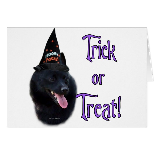 Schipperke Trick (Voorkant Horizontaal)