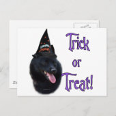 Schipperke Trick Briefkaart (Voorkant / Achterkant)