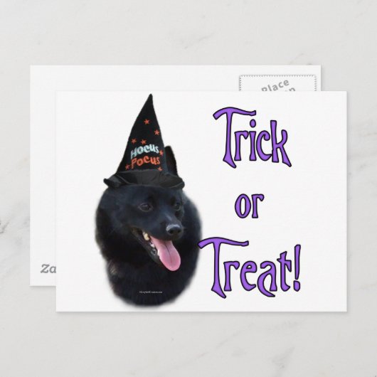 Schipperke Trick Briefkaart (Voorkant / Achterkant)