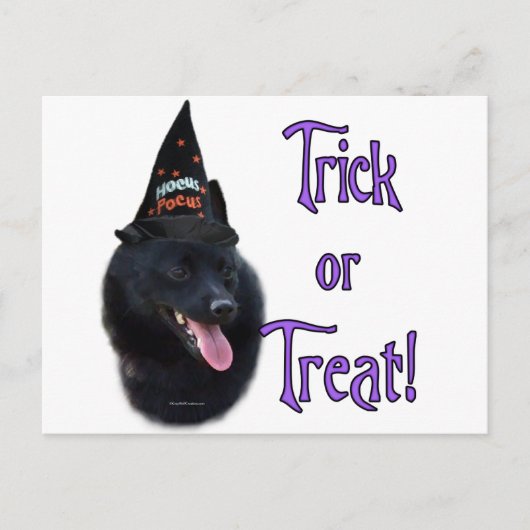 Schipperke Trick Briefkaart (Voorkant)