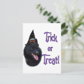 Schipperke Trick Briefkaart (Staand voorkant)