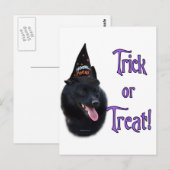 Schipperke Trick Briefkaart (Voorkant / Achterkant)