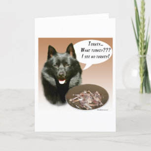 Schipperke Turkije Kaart