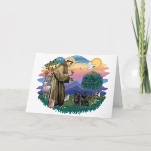 Schipperke (twee) kaart