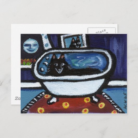 Schipperke-waterbad Briefkaart (Voorkant / Achterkant)