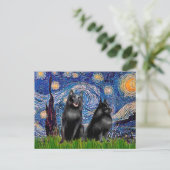 Schipperkees (2,5&6) — Sterrennacht Briefkaart (Staand voorkant)