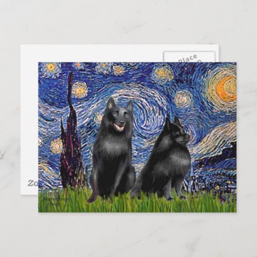 Schipperkees (2,5&6) — Sterrennacht Briefkaart (Voorkant / Achterkant)