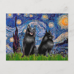 Schipperkees (2,5&amp;6) — Sterrennacht Briefkaart
