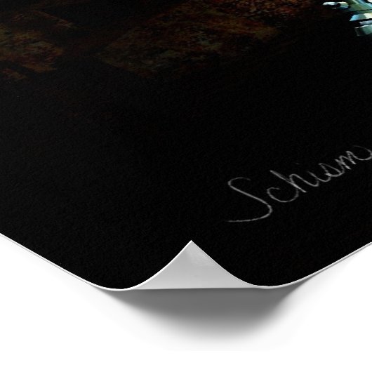 Schisme Poster (Hoek)