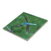 Schitterend blauw dragonfly fotoontwerp tegeltje (Zijkant)