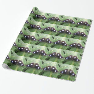 Schitterend blauw gebotteld vlinderdebetpapier cadeaupapier
