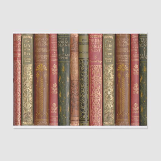 Schitterend boekenpapier (bijen) tissuepapier (Voorkant)