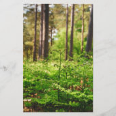 Schitterend bos briefpapier (Voorkant)
