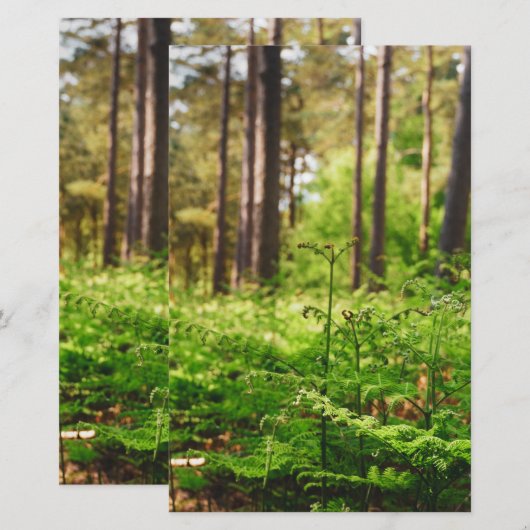 Schitterend bos briefpapier (Voorkant / Achterkant)