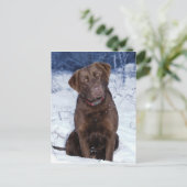 Schitterend bruin dog design briefkaart (Staand voorkant)