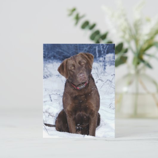 Schitterend bruin dog design briefkaart (Staand voorkant)
