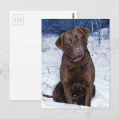 Schitterend bruin dog design briefkaart (Voorkant / Achterkant)