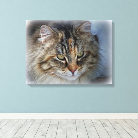 Schitterend Feral Cat Portrait Canvas afdrukken (Insitu (Houten vloer))