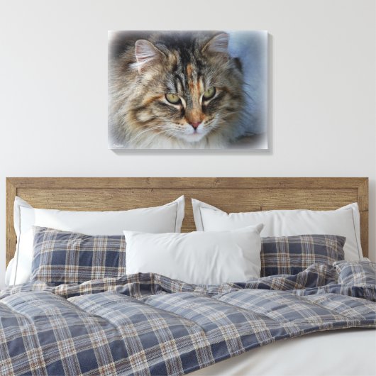 Schitterend Feral Cat Portrait Canvas afdrukken (Insitu (Slaapkamer))