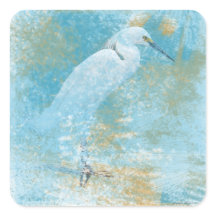 Schitterend gebilderd Snowy Egret Coastal Bird