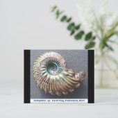 Schitterend gedopt ammonietfossiel briefkaart (Staand voorkant)
