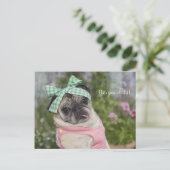 Schitterend gekleed Chinees afbeelding Briefkaart (Staand voorkant)